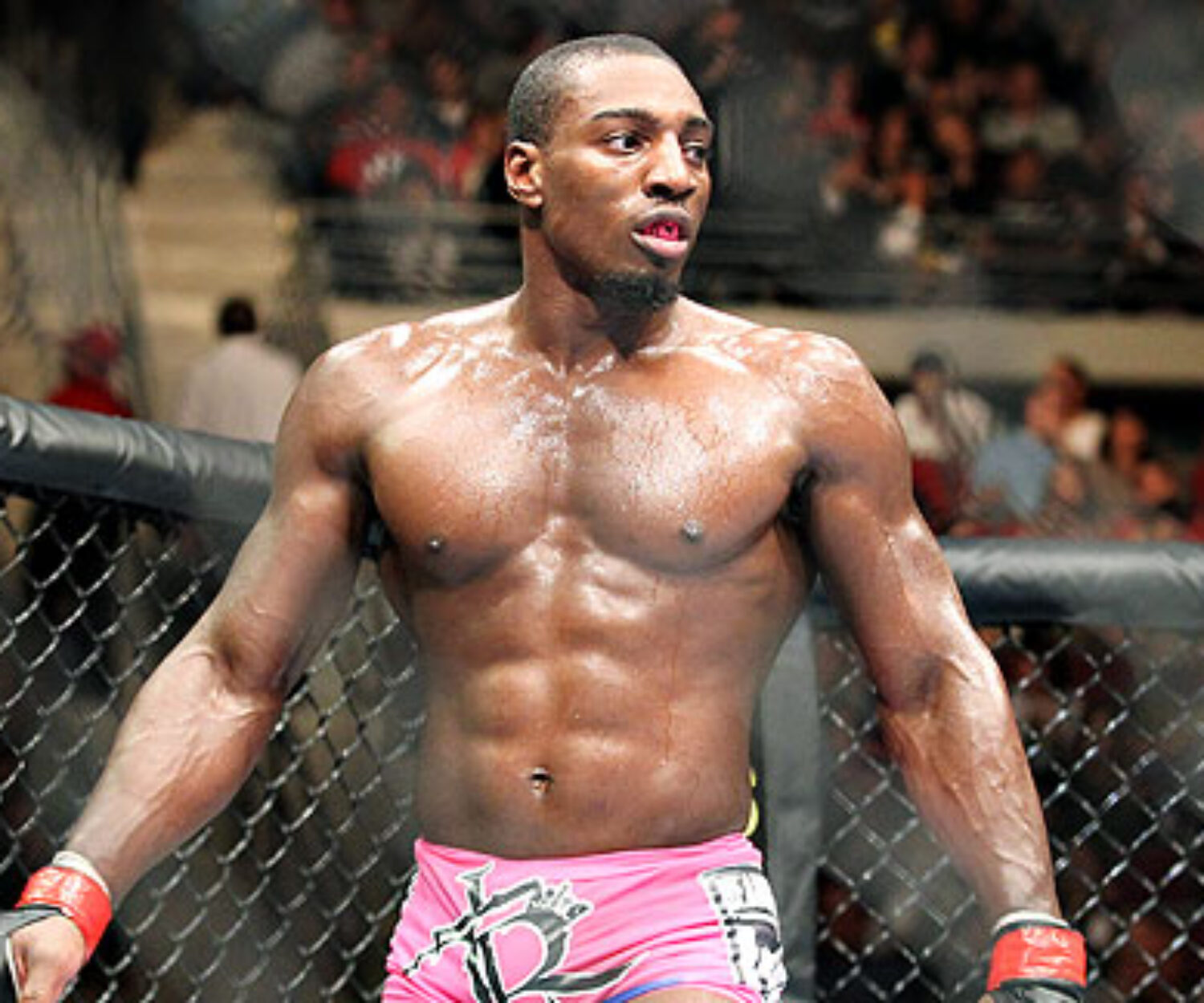 Fill photo. Фил Дэвис. Фил Квабина Дэвис. Фил Дейвис боец. Phil Davis UFC.